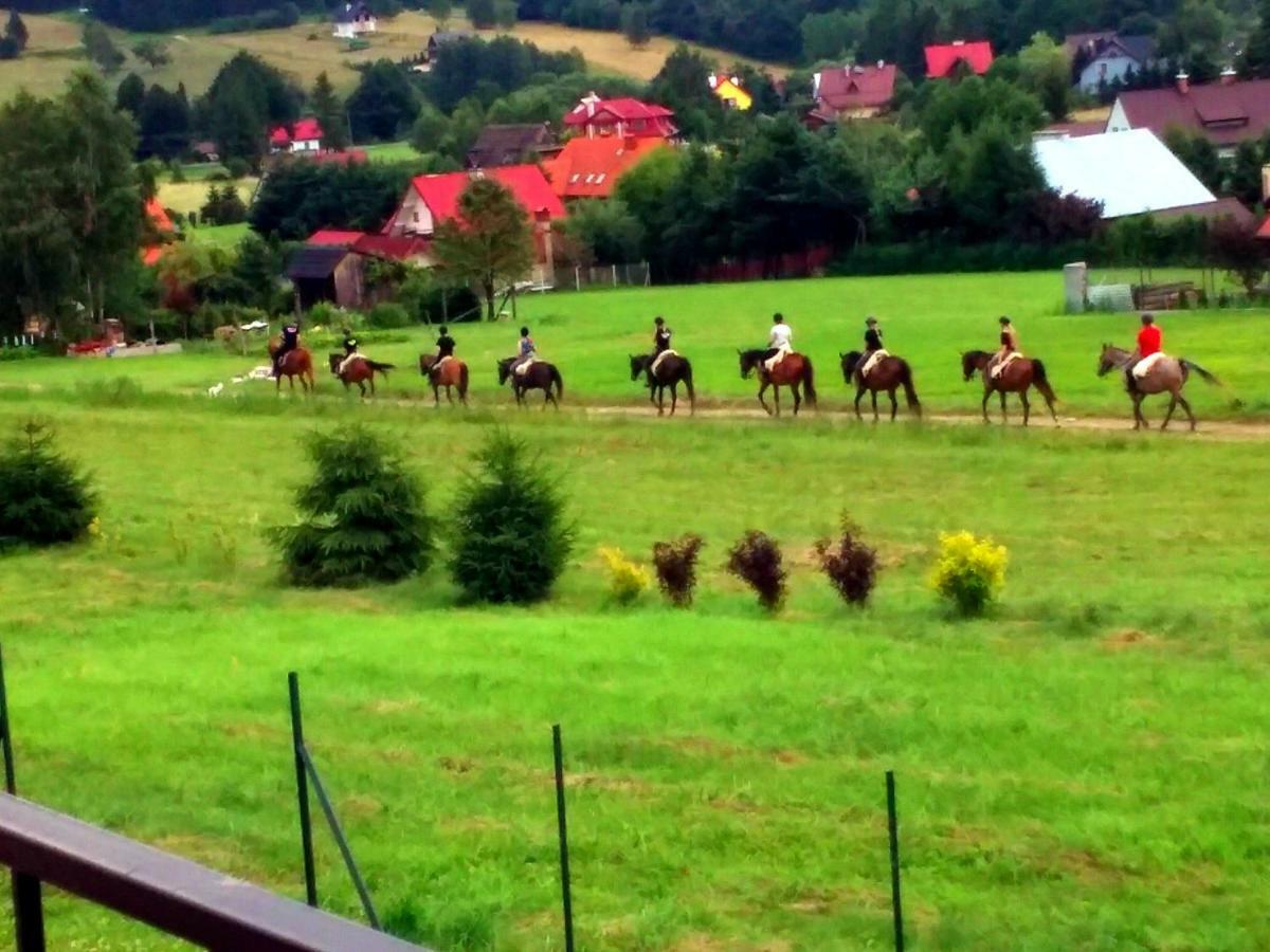 Pokoje Panorama Wysowa-Zdrój Esterno foto